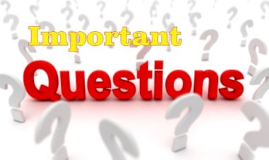 Important Question Papers of All Subjects For LLB 2nd Semester